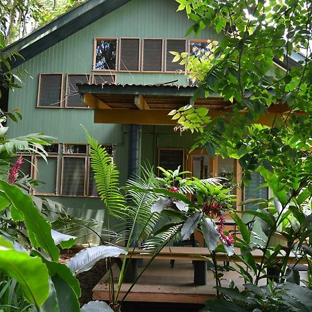 Rainforest Eco Lodge Suva Eksteriør bilde