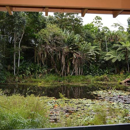 Rainforest Eco Lodge Suva Eksteriør bilde