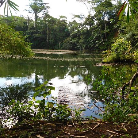 Rainforest Eco Lodge Suva Eksteriør bilde