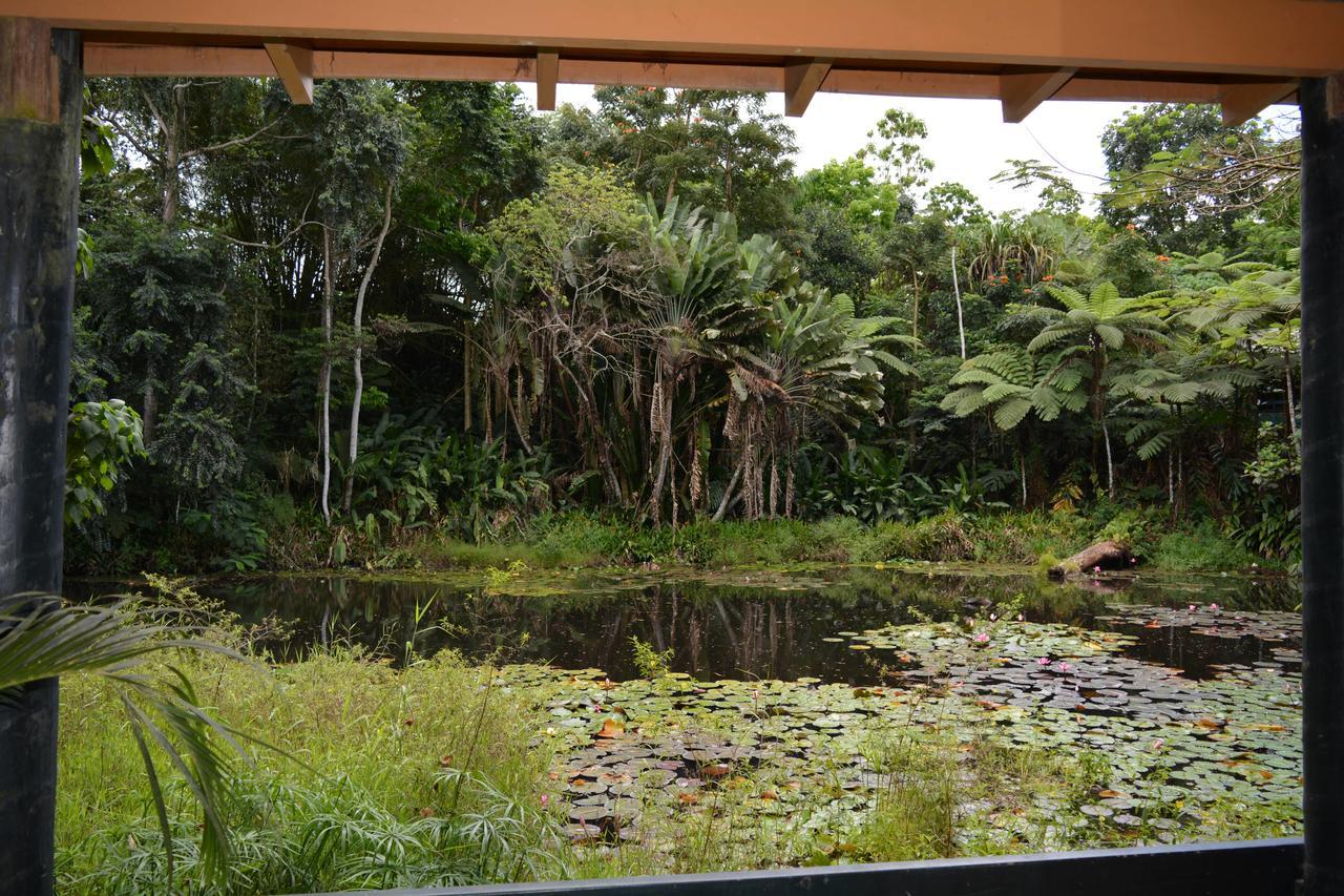 Rainforest Eco Lodge Suva Eksteriør bilde