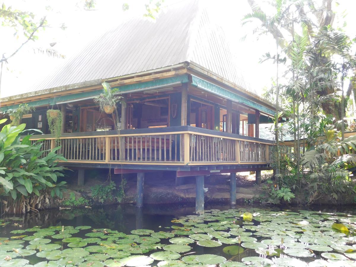 Rainforest Eco Lodge Suva Eksteriør bilde