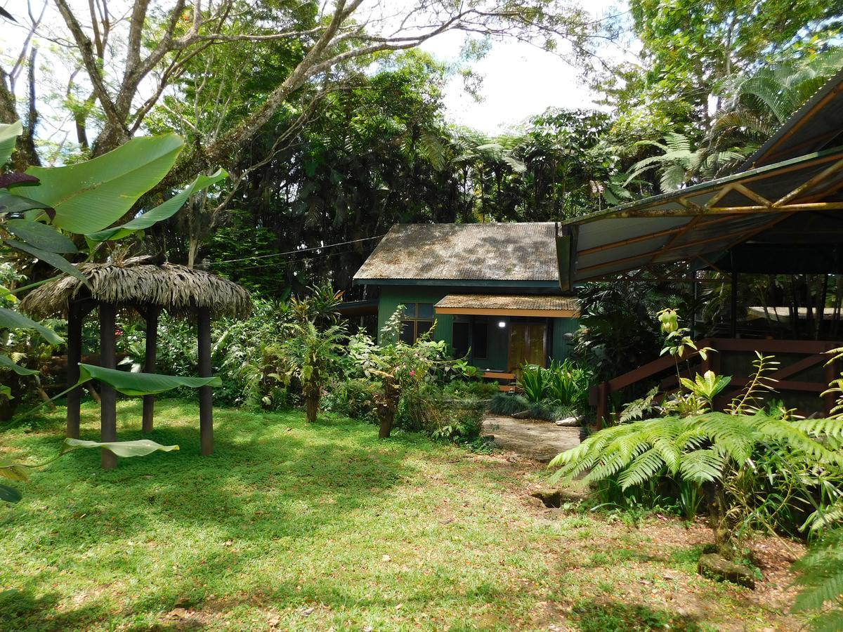 Rainforest Eco Lodge Suva Eksteriør bilde