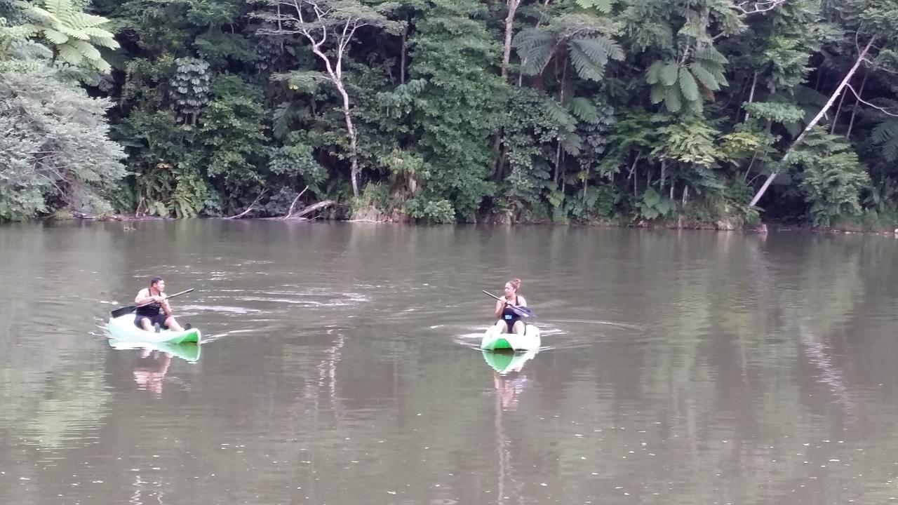 Rainforest Eco Lodge Suva Eksteriør bilde