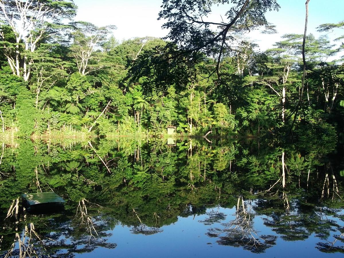 Rainforest Eco Lodge Suva Eksteriør bilde