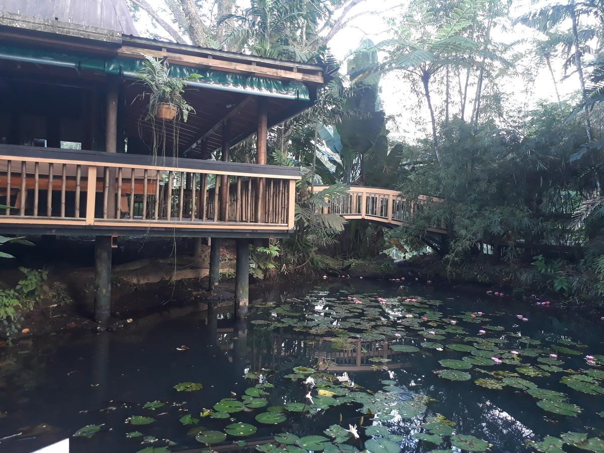 Rainforest Eco Lodge Suva Eksteriør bilde