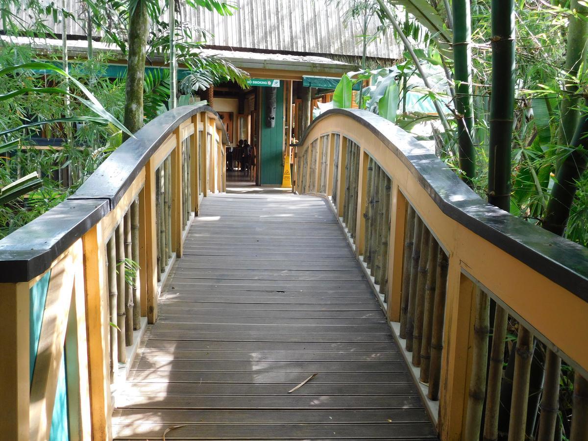 Rainforest Eco Lodge Suva Eksteriør bilde