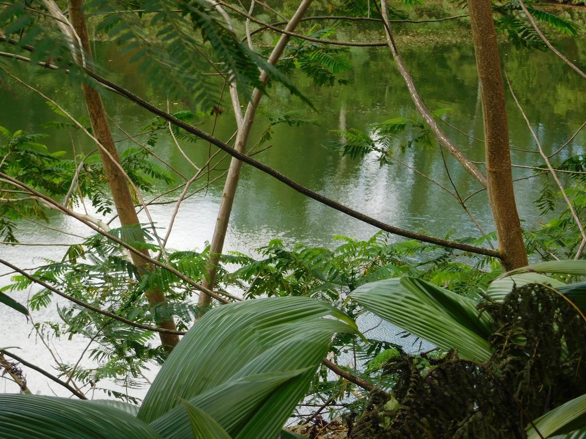 Rainforest Eco Lodge Suva Eksteriør bilde